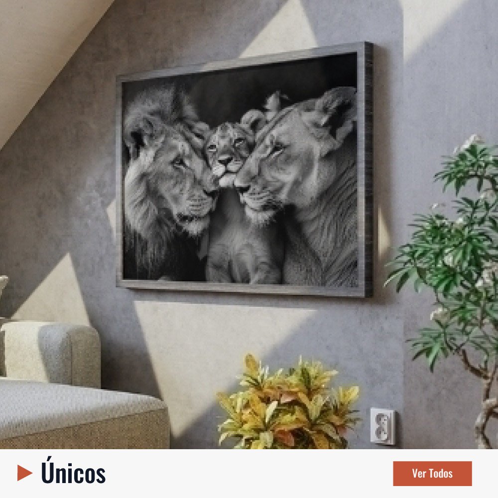 fixo modelo 3 visiveis wit decor promocao desconto cupom frete gratis quadros 3
